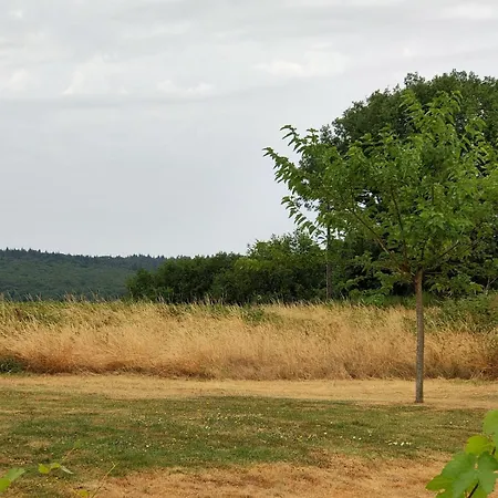 Les Pierres Levées *
